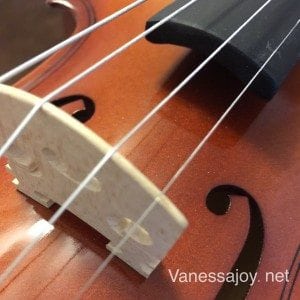 VanessaJoyViolin